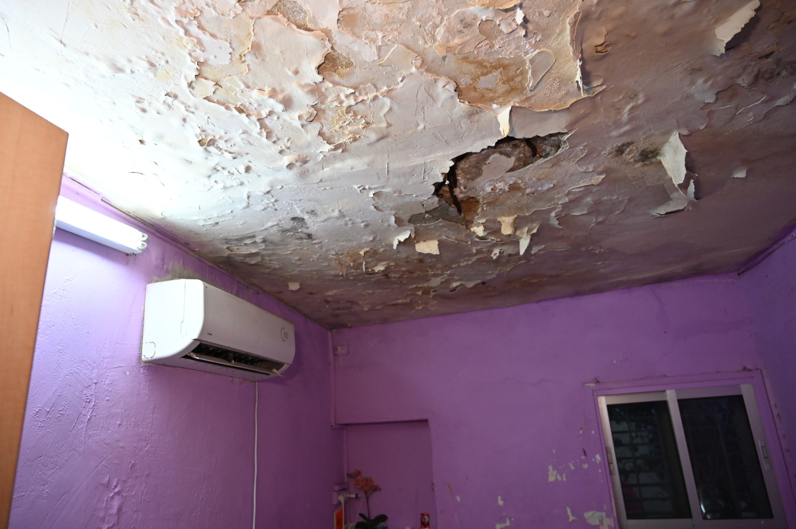 WhatsApp Image 2022-03-06 at 8.47.28 PM (1).jpeg